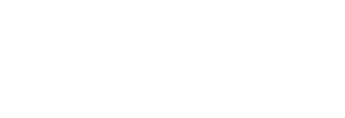 synergice